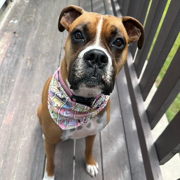 Meet Me!❤️😊 - Picture 8 of 11